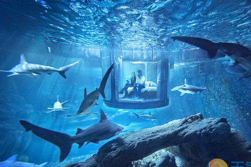 一分钟告诉你有副乳该怎么办|飞碟一分钟_ 飞碟