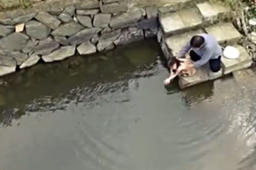 海南新瑞都实业投资有限公司副总经理-皮爽