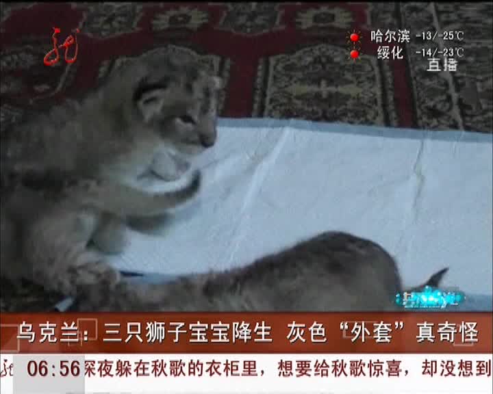 2013年广东省珠江人才计划、扬帆计划和百名