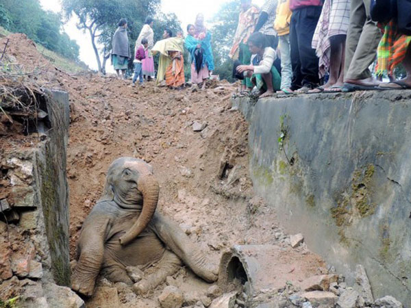 复旦投毒案:两个家庭 一样煎熬