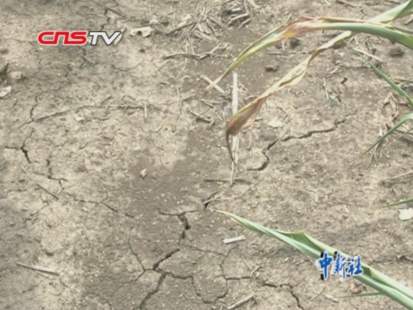 吉林旱灾:流水镇 十井九枯 村民饮水短缺