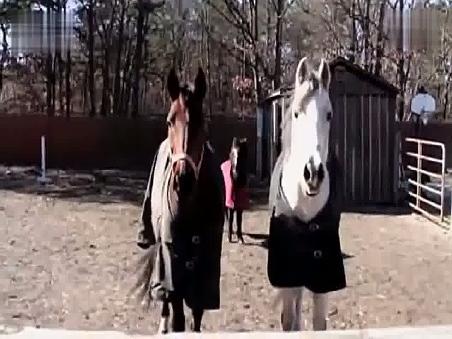 [视频]大胸<em>妹子健身中胸罩</em>崩开 真是节操碎一地