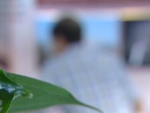 高考取消特长加分 艺术生欲放弃特长