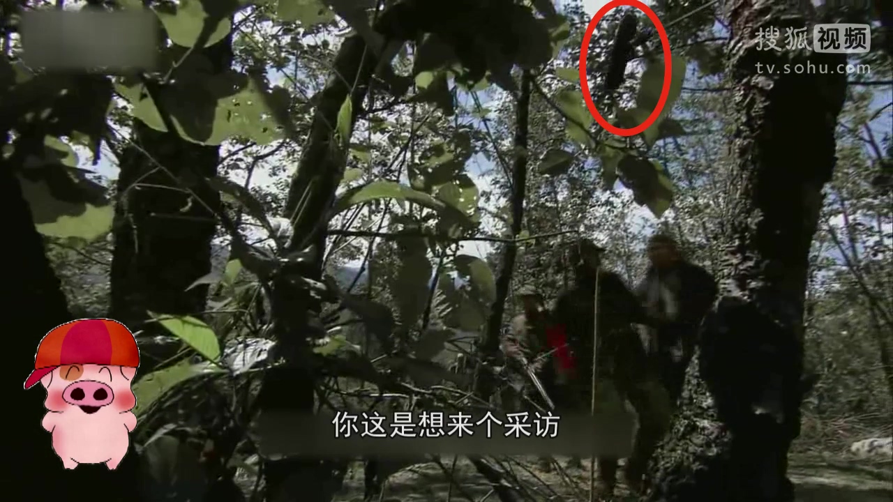 [视频]大胸妹子<em>健身</em>中<em>胸罩</em>崩开 真是节操碎一地