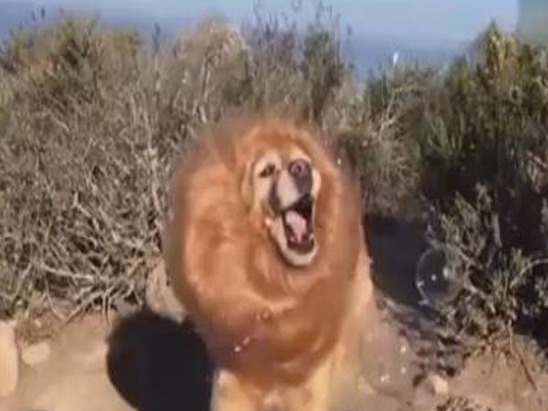 国庆加班9天能赚1月工资 专家:超时违法