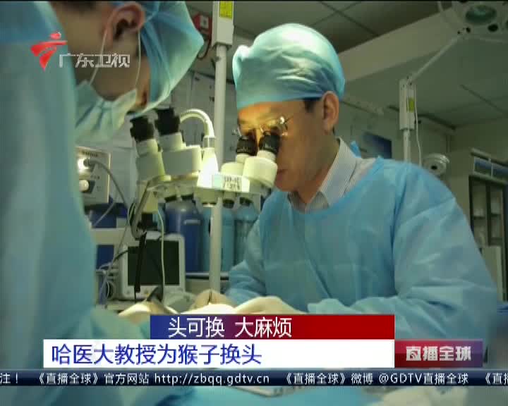 换头手术人活下来了吗 3313160122055238.jpg