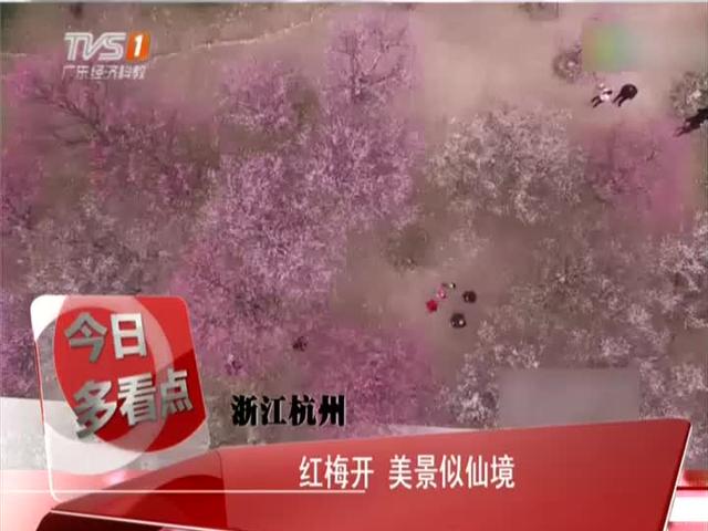春节过后上海房东1天涨70万 杭州房价会涨吗 