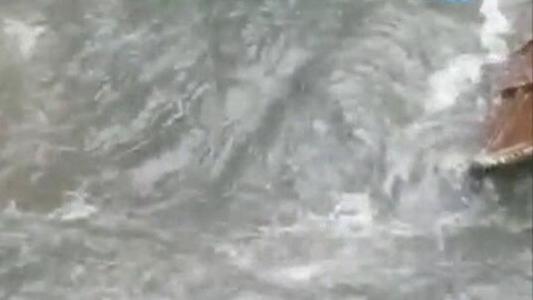 上海:税务新系统今起正式启用