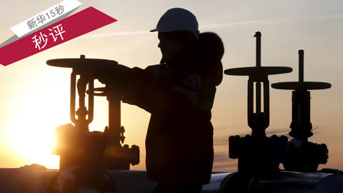 全球资讯猴子打完幼虎脑袋拽尾巴