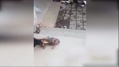 3万辆共享单车落地天津扫码支付随借随还